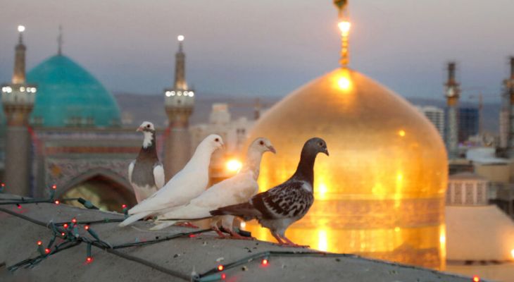 چهارشنبه‌های زیارتی تجلی دلدادگی امت به امام رئوف
