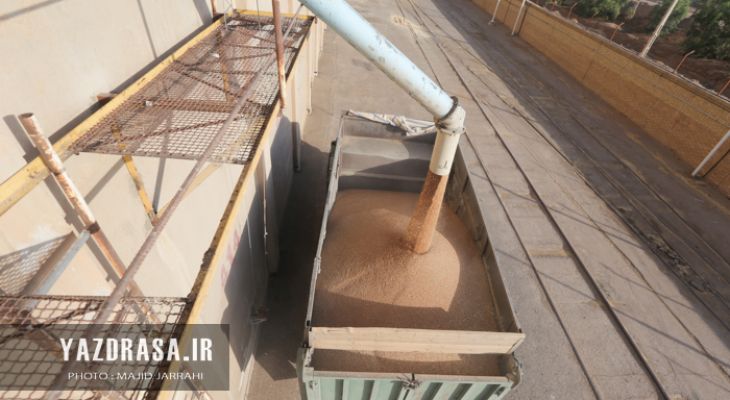 حمل و بارگیری گندم به سیلوهای استان یزد